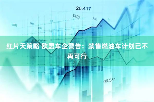 红片天策略 欧盟车企警告：禁售燃油车计划已不再可行