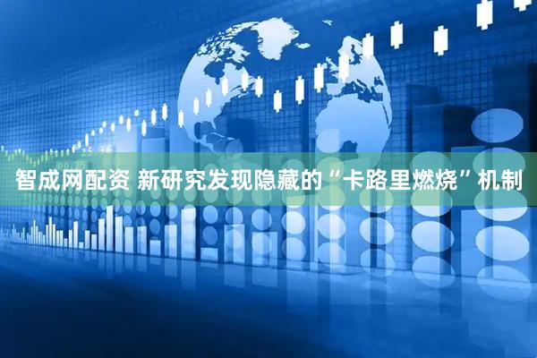 智成网配资 新研究发现隐藏的“卡路里燃烧”机制